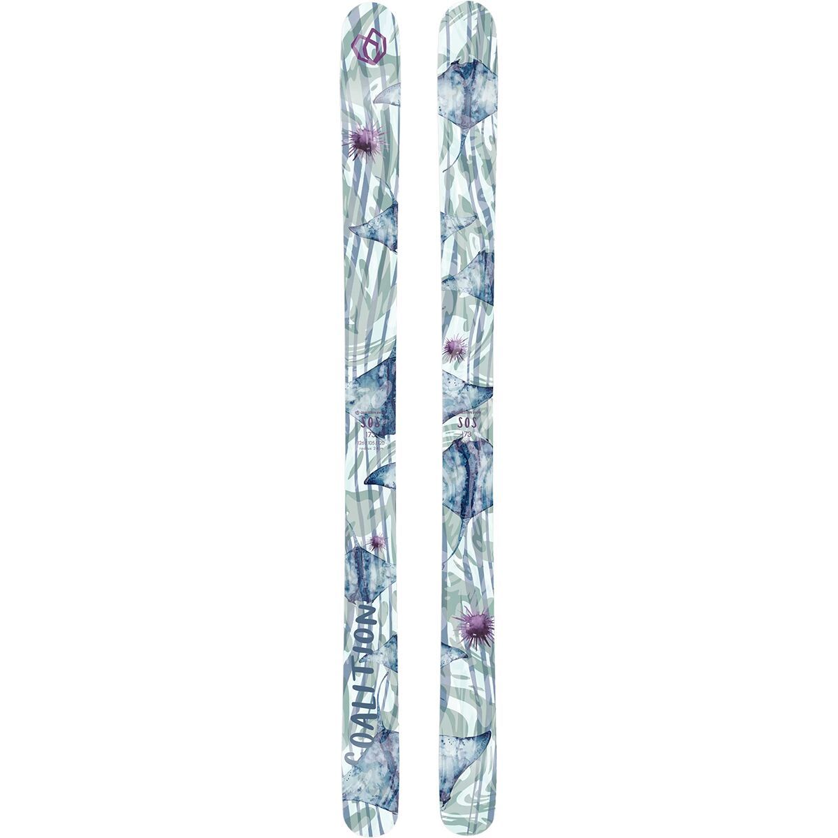 Coalition Snow Women's SOS Ski - 2025 in Stings Like a B - Size: 166cm