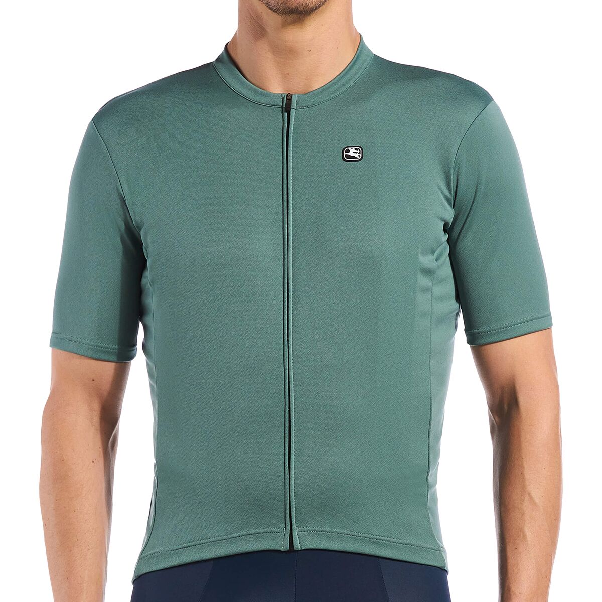 Giordana Men's Fusion Jersey in Smokey Sage - Size: Medium
