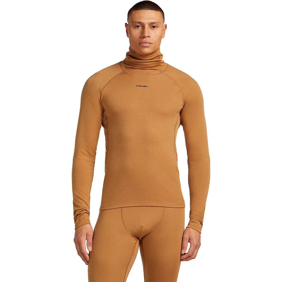 Icebreaker Men's 300 MerinoFine Polar Long-Sleeve Roll Neck Top in Trail - Size: Medium