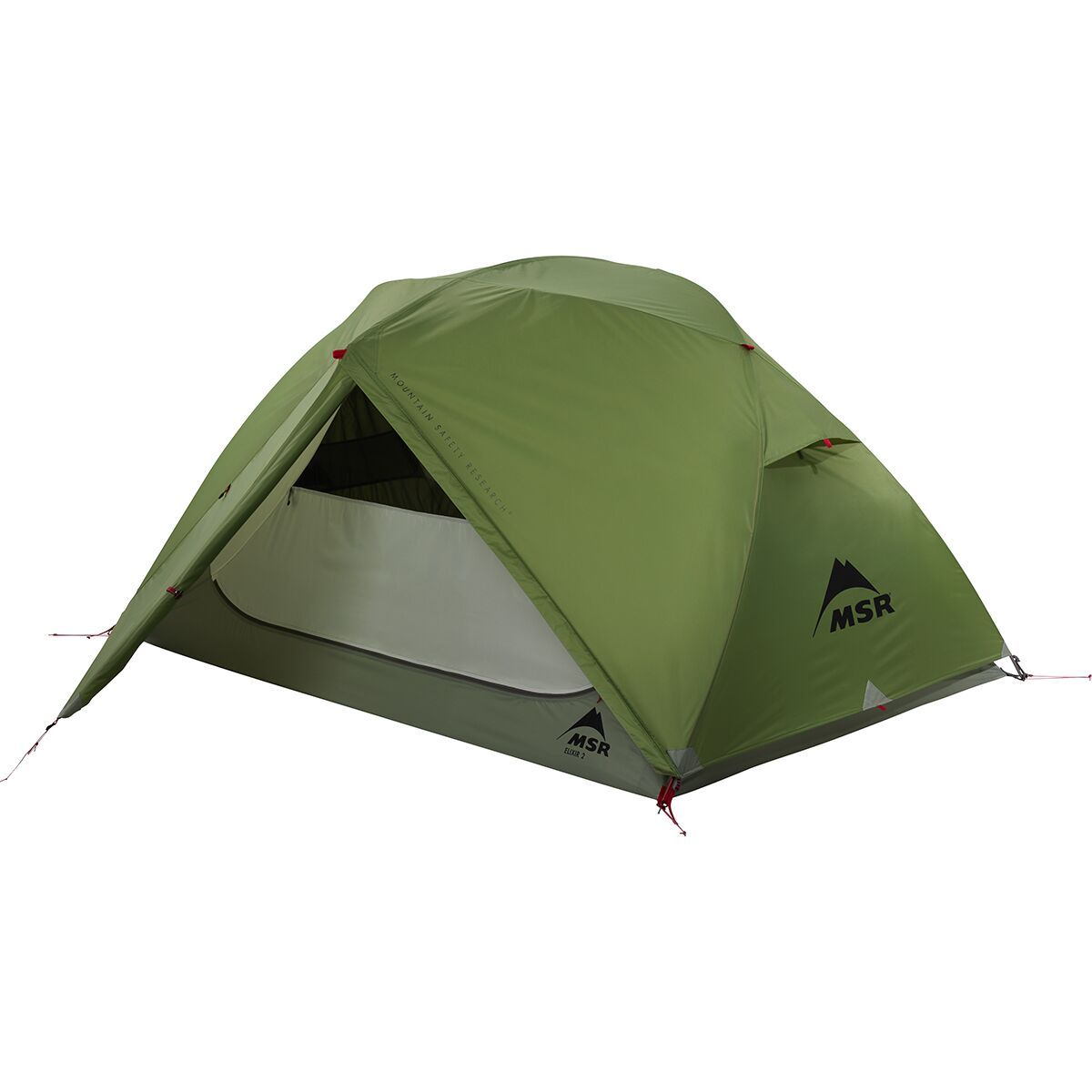 MSR Elixir Tent: 2-Person 3 Season in Moss