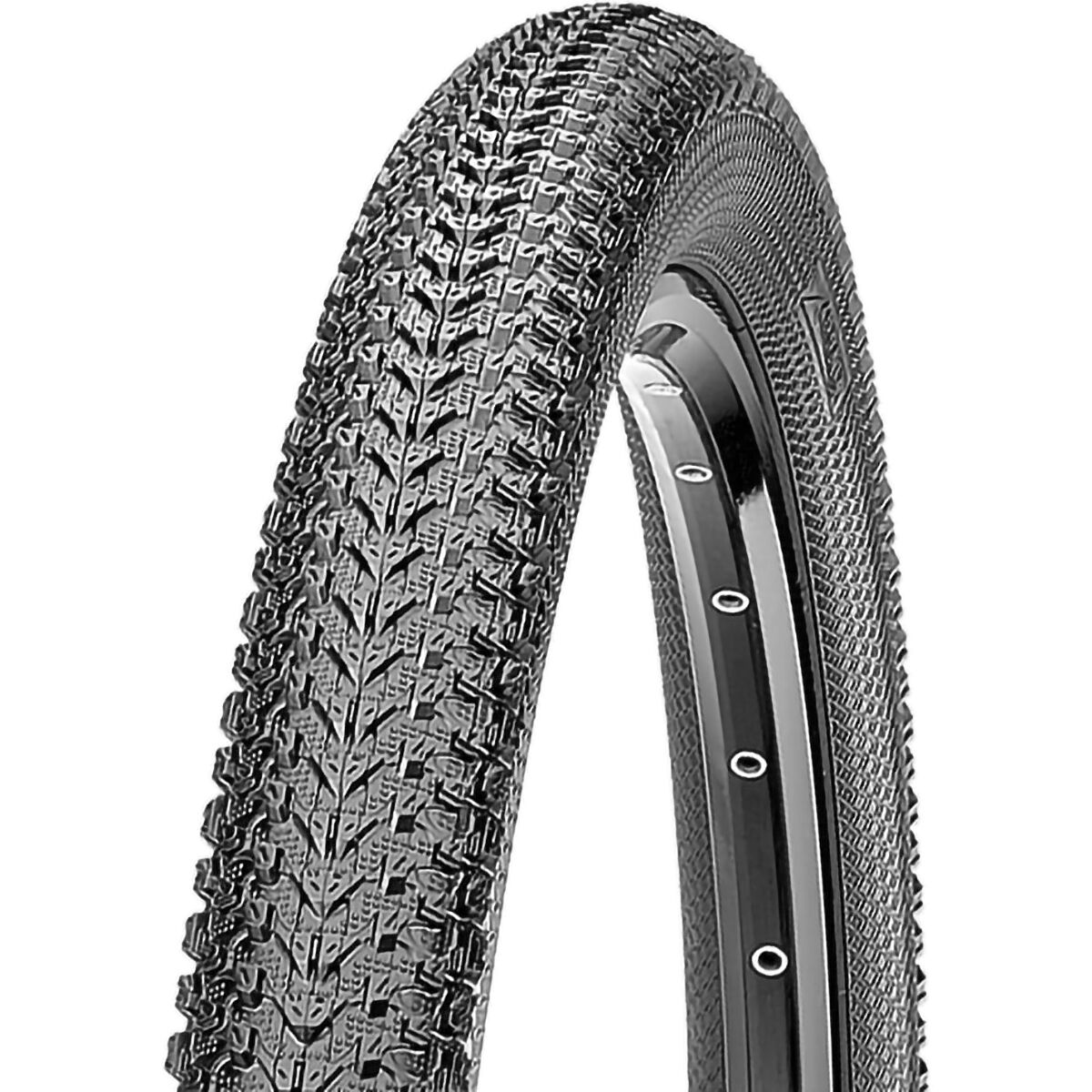 Maxxis Pace Dual Compound EXO/TR 29in Tire in Black / F60 - Size: 29x2.10