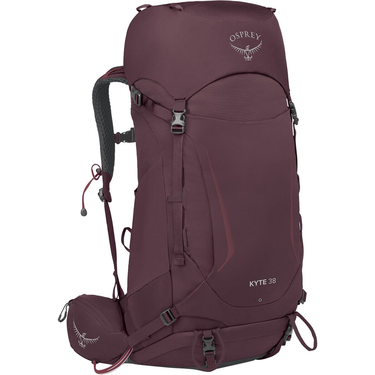 Osprey Packs Women's Kyte 38L Pack in Elderberry Purple - Size: M/L