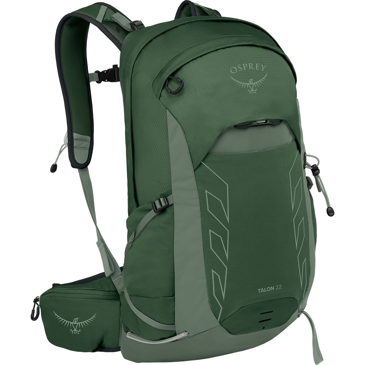 Osprey Packs Men's Talon 22L Backpack in Green Canopy / Pine Leaf