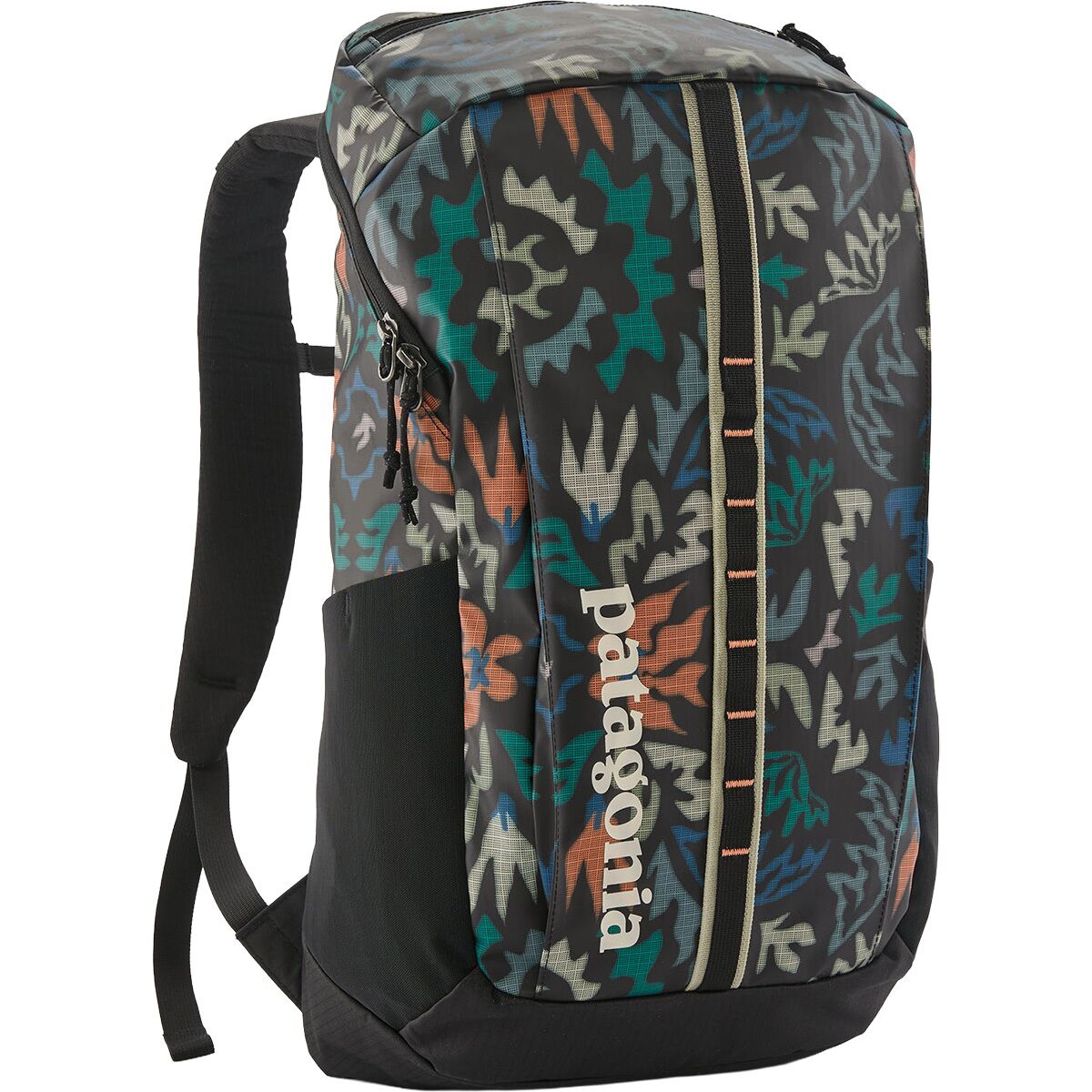 Patagonia Black Hole 25L Backpack in Kaleido: Black