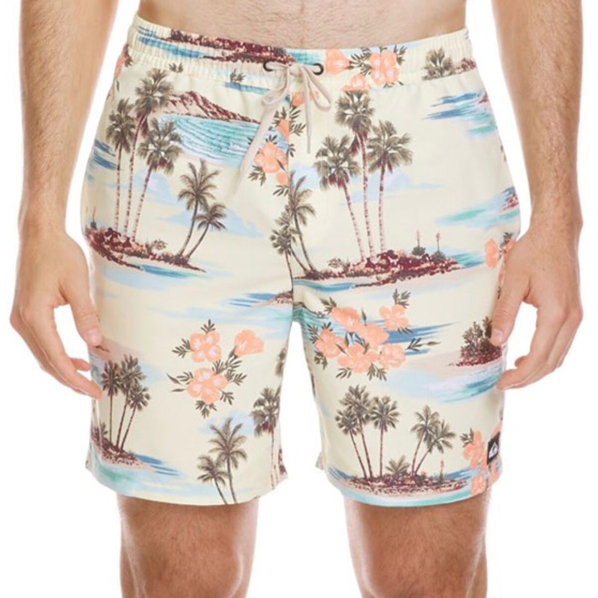 Quiksilver Men's Everyday Mix Volley 17 NB Short in Silver Birch - Size: XL