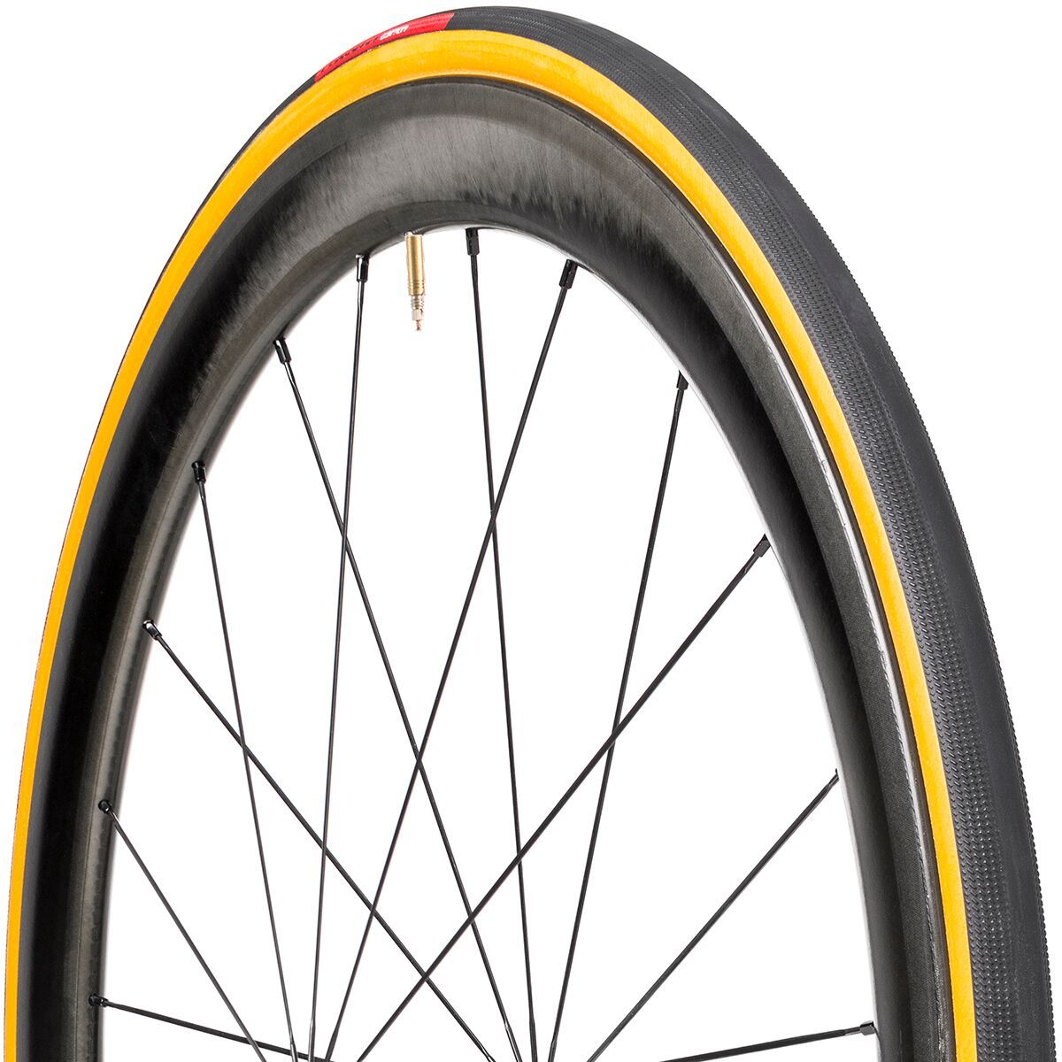 Specialized Turbo Cotton Clincher Tire in Black / Transparent - Size: 700x24