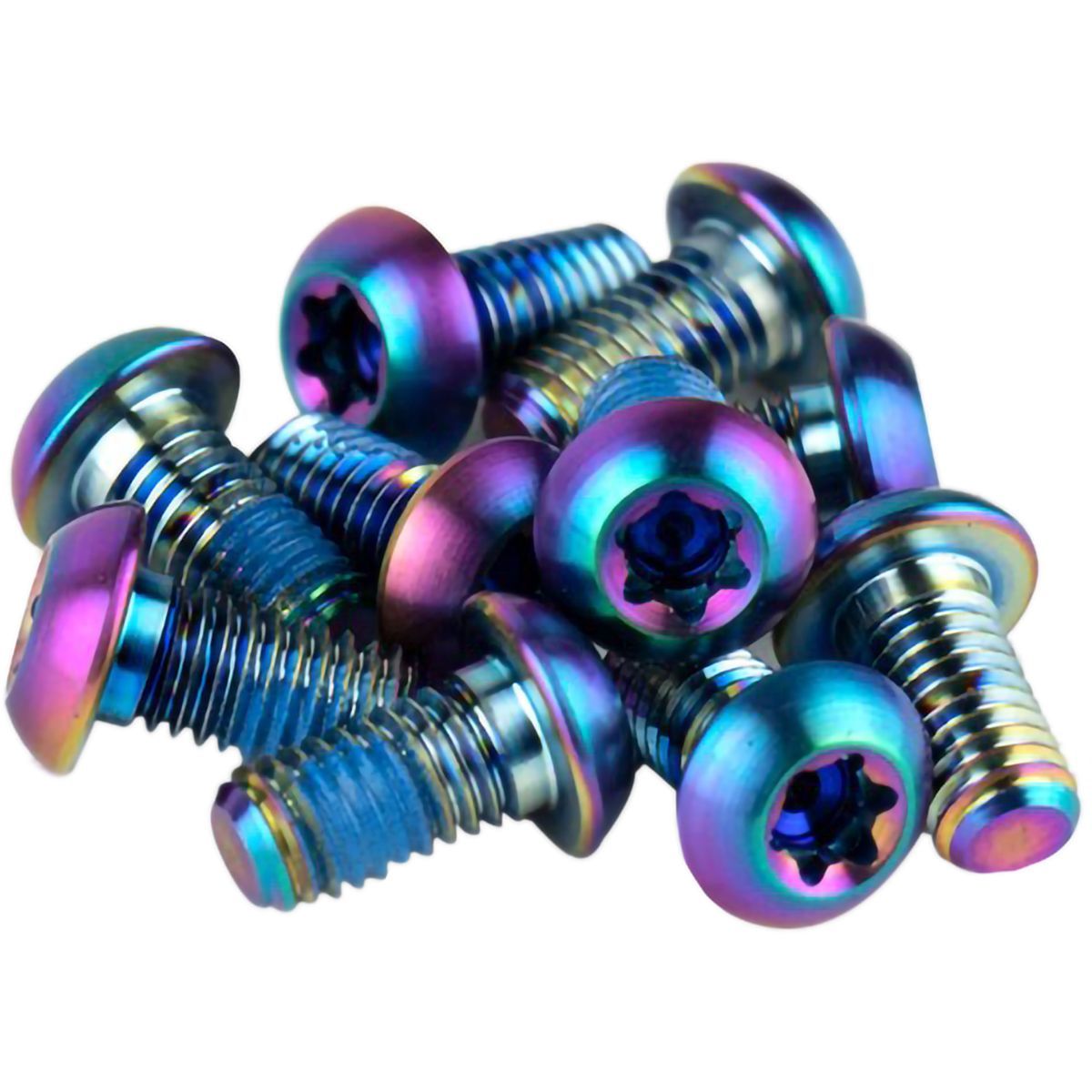 SRAM Rotor Bolt Kit - Titanium in Silver - Size: T25