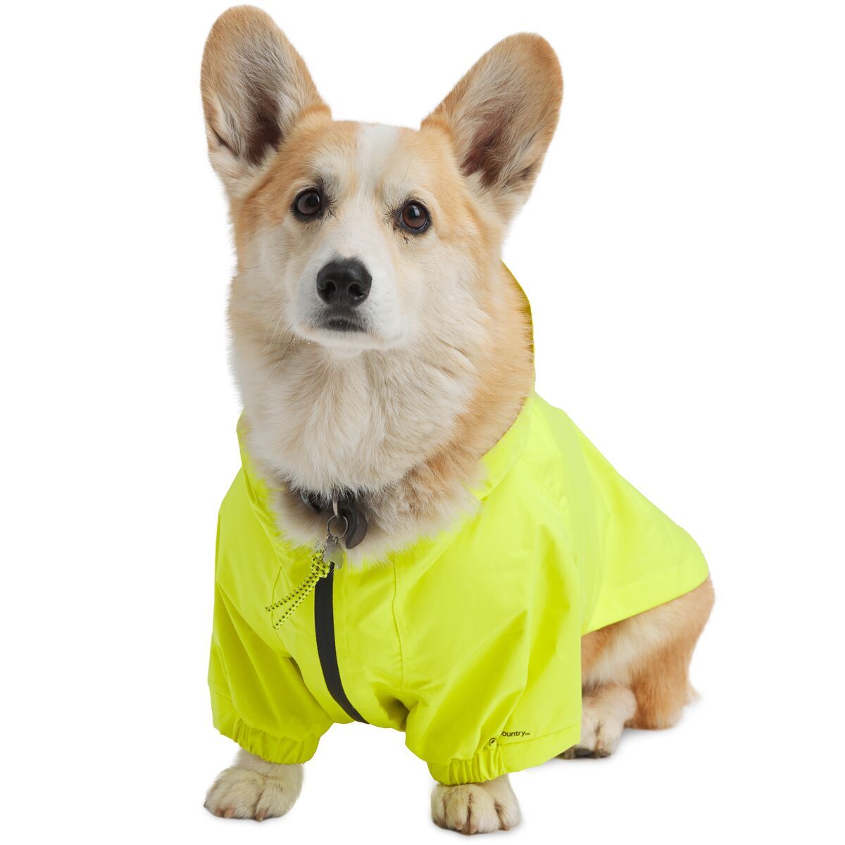 savannah monitor enclosure for sale