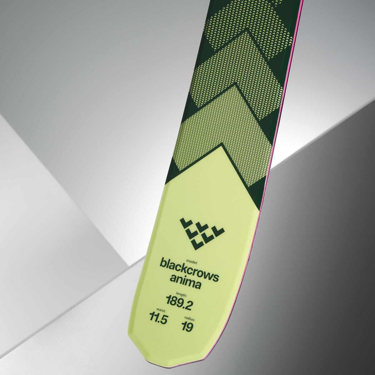 Blackcrows ANIMA 2025 194cm ブラッククロウズ アニマ Black Crows Anima Skis 2026 | evo