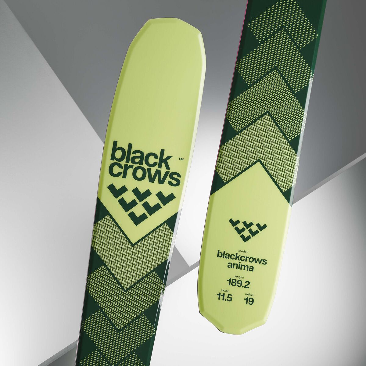 Blackcrows ANIMA 2025 194cm ブラッククロウズ アニマ Black Crows Anima Skis 2026 | evo
