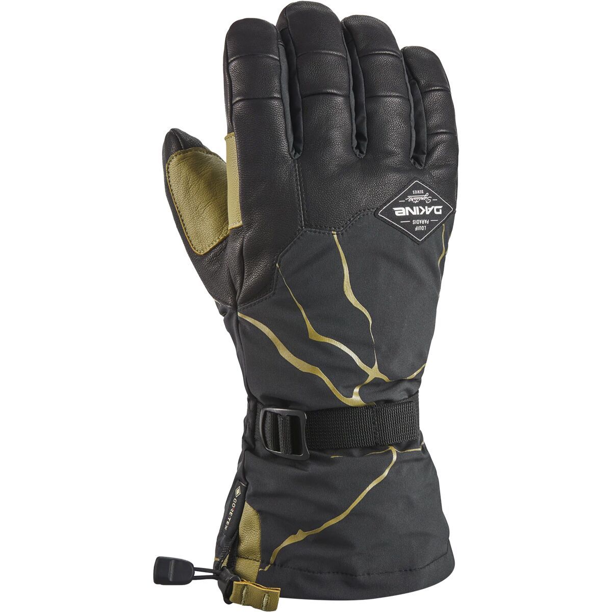 Amazon.com : Dakine Team Phoenix Gore-Tex Glove - Sammy