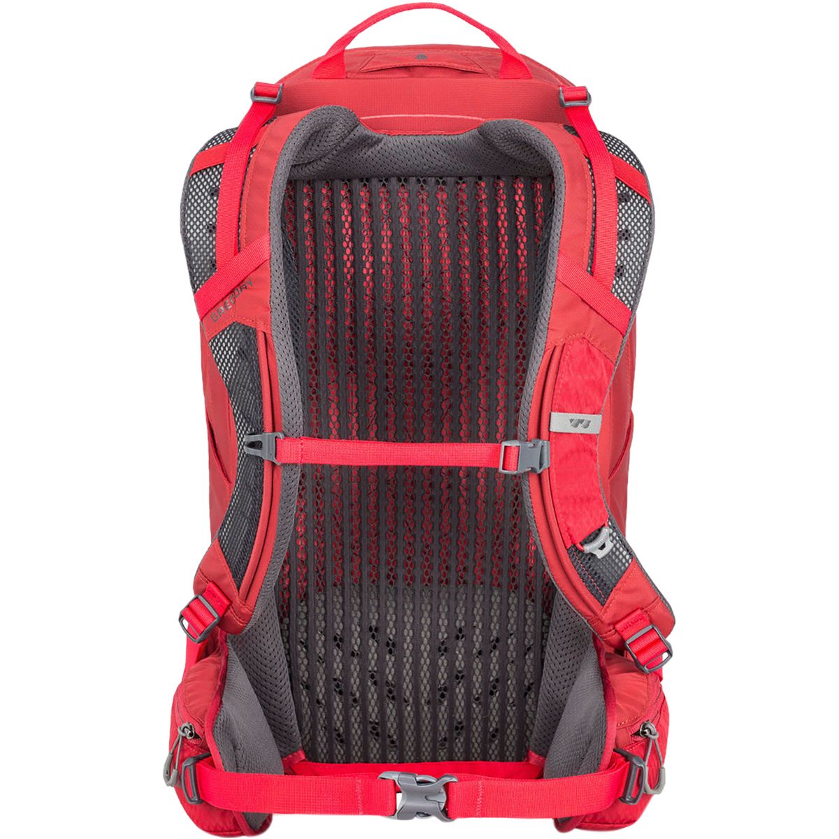 gregory salvo 24 backpack
