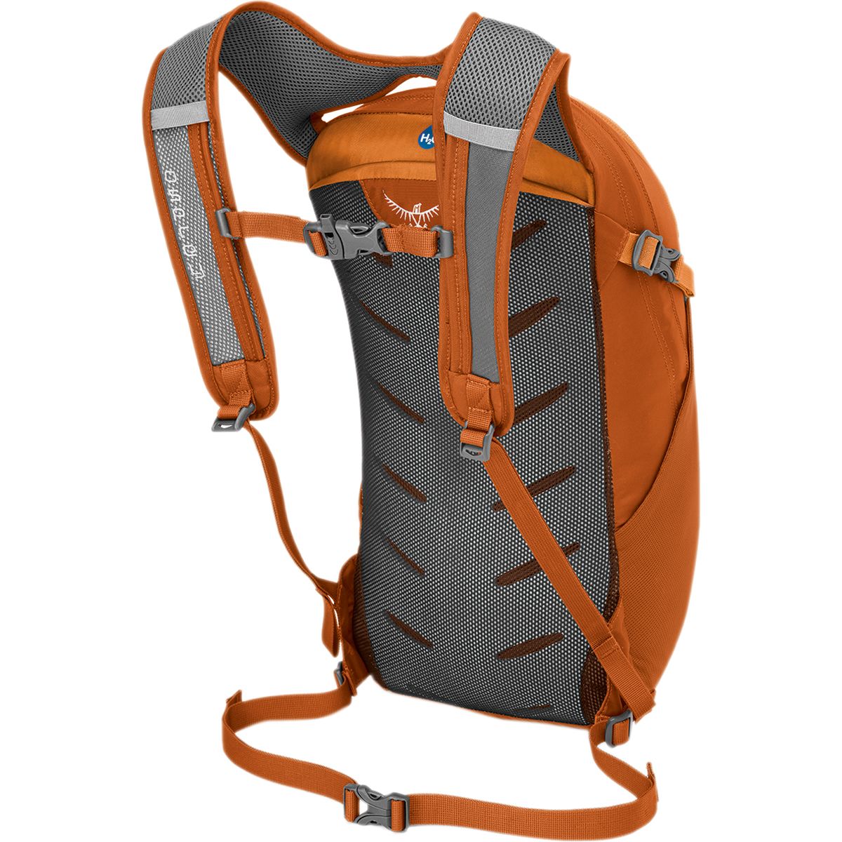 orange osprey daylite Cinch Backpack a stretch mesh side pocket for water bottles Osprey Daylite Color: Umber Orange/Verdigris,