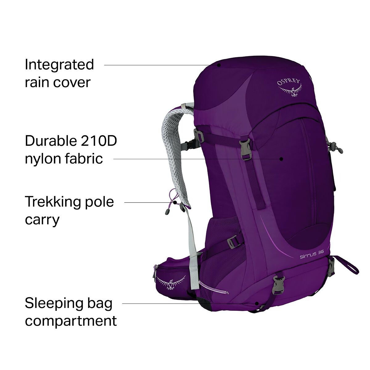 Osprey Packs Sirrus 36L Backpack - Women's - Hike & Camp