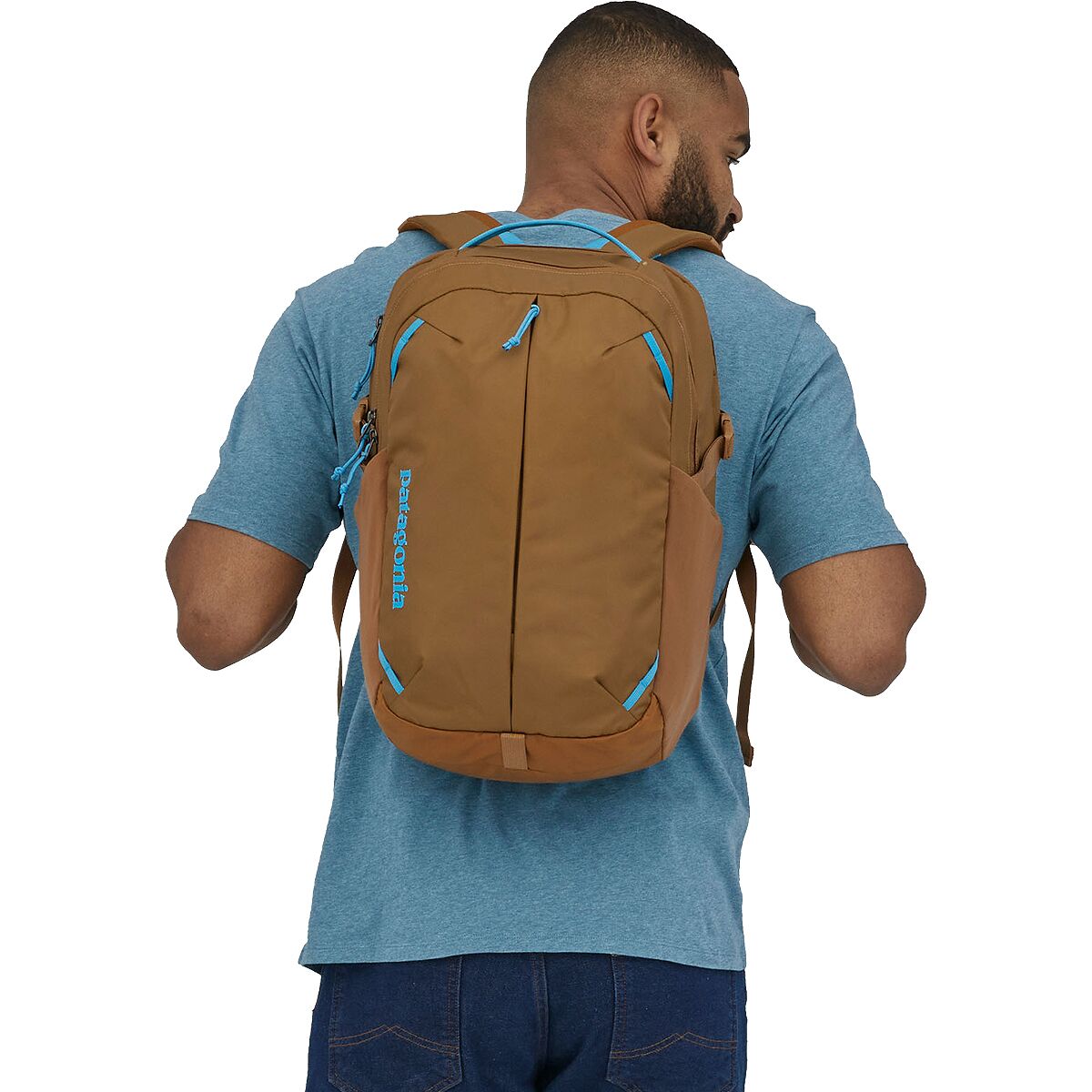 backpack for cat travel Cat Backpack The Fat Cat - For Larger Cats Charcoal