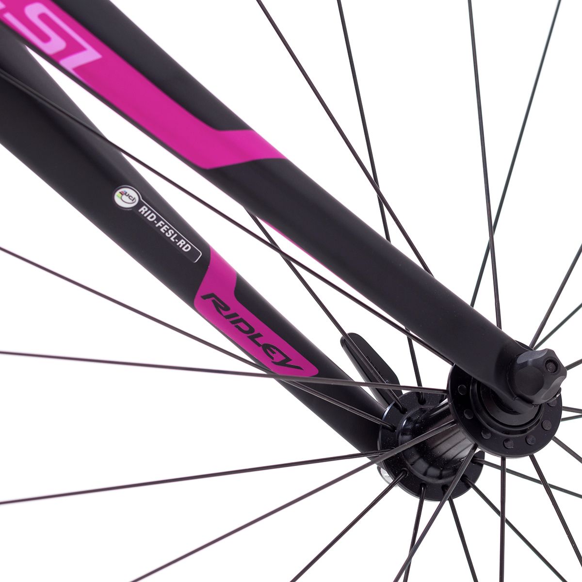 Ridley Liz SL Ultegra Road Bike - Women's - Bike