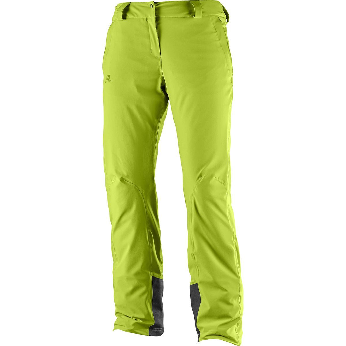Спортивные непромокаемые брюки. Брюки WHITELIGHT Pant m. Брюки Salomon Icemania Pant m. Брюки горнолыжные Salomon ICEHET Pant woman. Salomon Icemania.
