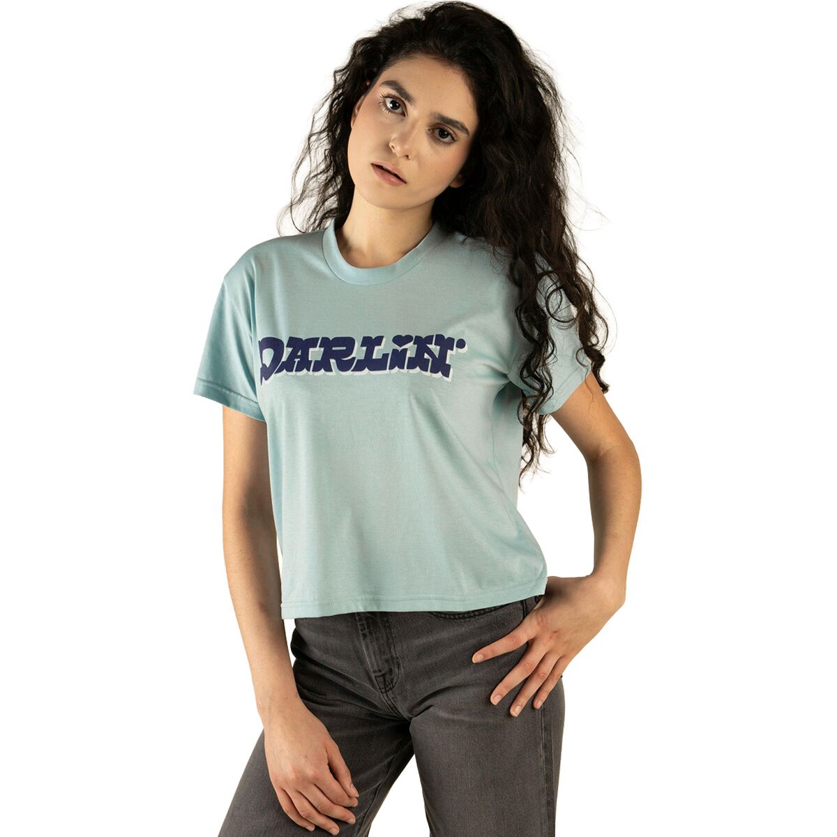 Sendero Provisions Co. Women's Darlin Crop T-Shirt in Sterling Blue - Size: Small