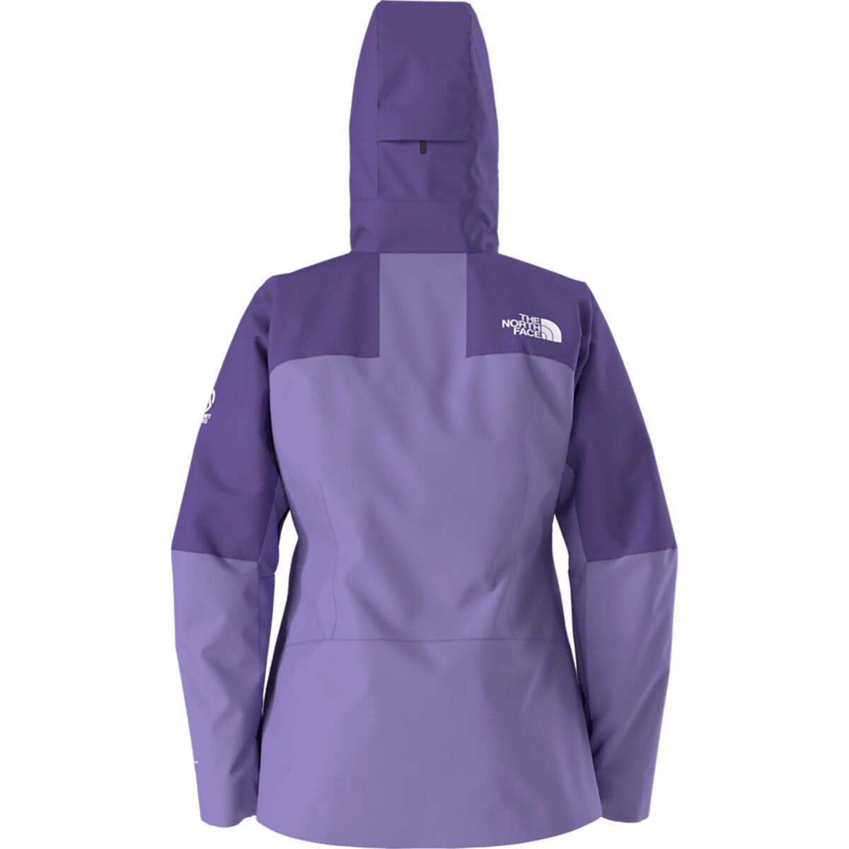 The North Face Summit Torre Egger FUTURELIGHT Jacket - Women's - Women