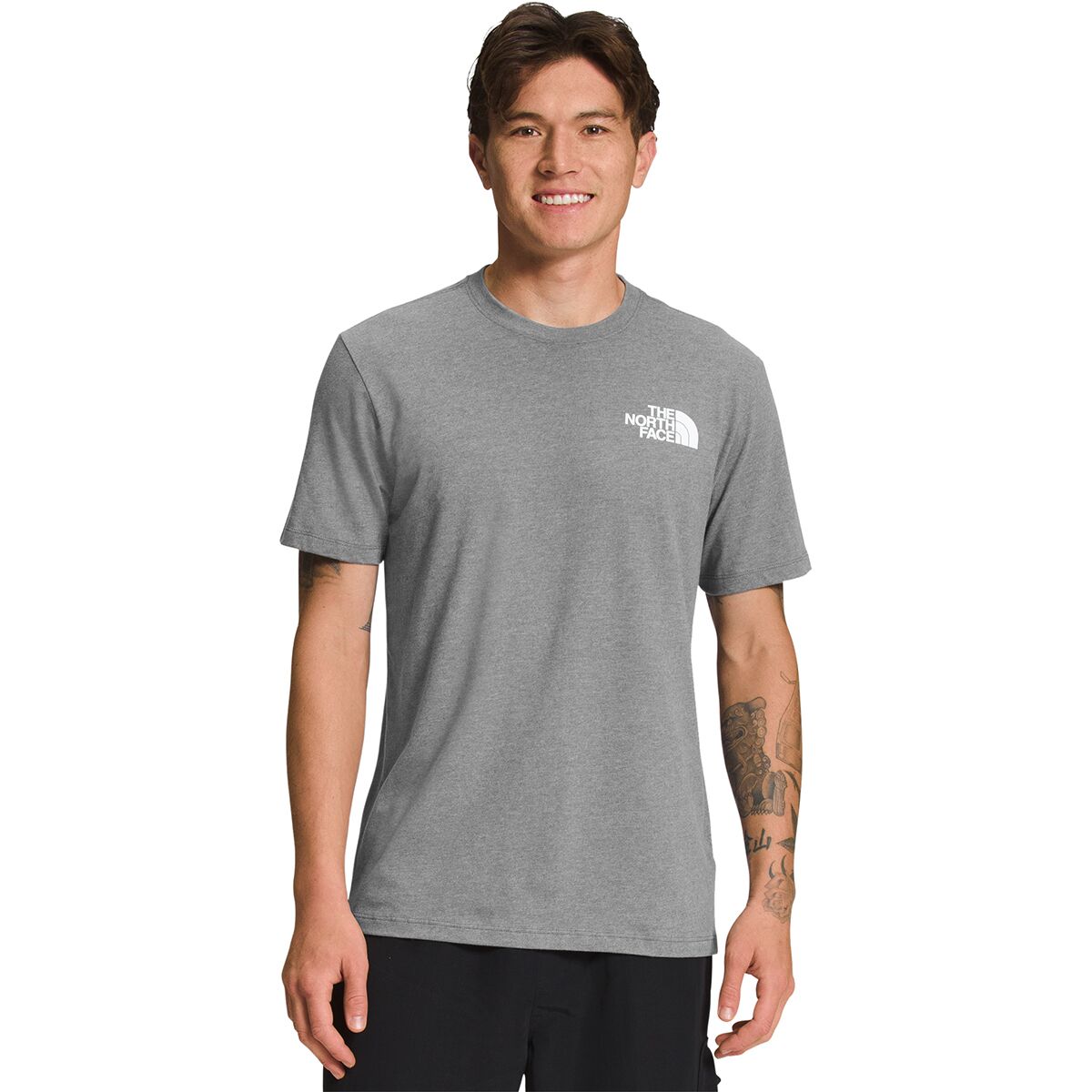 ◎THE NORTH FACE◎ TNF Korean Short Sleeve T-Shirt 5BROWN NT The North Face Korea NAMHANSANSEONG EDITION S/S R/TEE