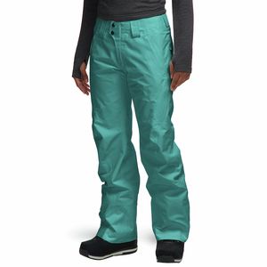 Patagonia Powder Bowl Pant - Women's - Women